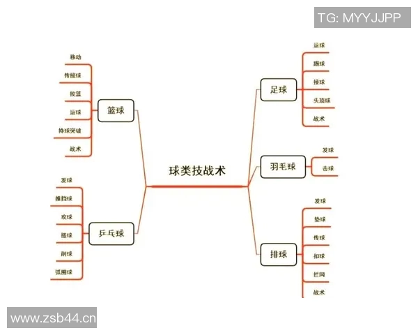 从零起步：全面解析排球团队协作技巧与实战策略